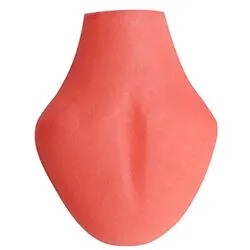 Removable Tongue-2