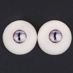 No.6