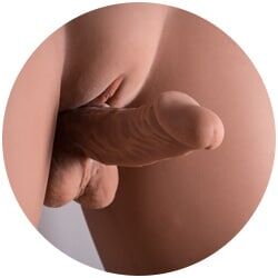 15cm(6")