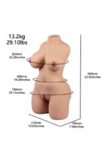 dreamsdoll sex doll torso Emma