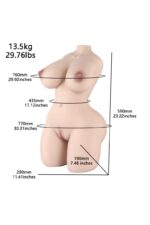 dreamsdoll sex doll torso Beyonce