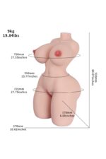 dreamsdoll sex doll torso Celine