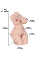 dreamsdoll sex doll torso Sofia