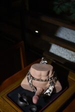 Dreamsdoll Sex Doll Torso Andreja