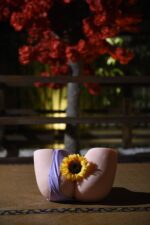 Dreamsdoll Sex Doll Torso Nicole