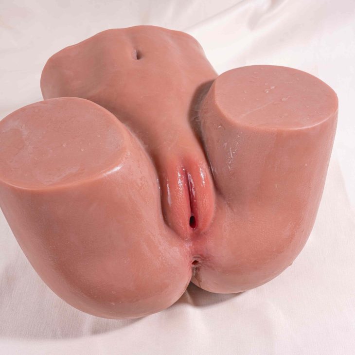 dreamsdoll sex doll torso Daniela