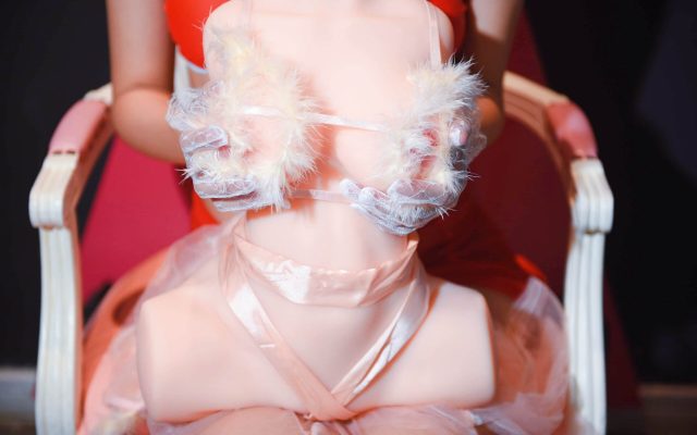dreamsdoll sex doll torso Gaga
