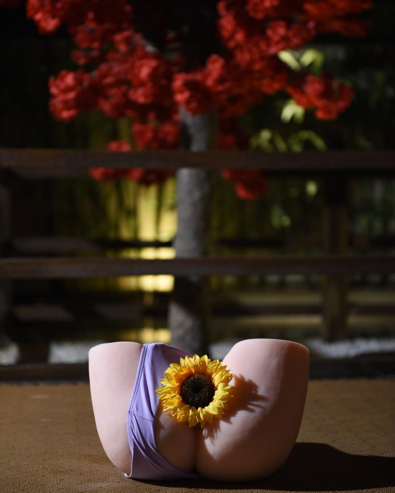 Dreamsdoll Sex Doll Torso Nicole